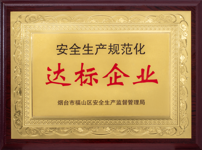 安全生產(chǎn)規(guī)范化達標(biāo)企業(yè)