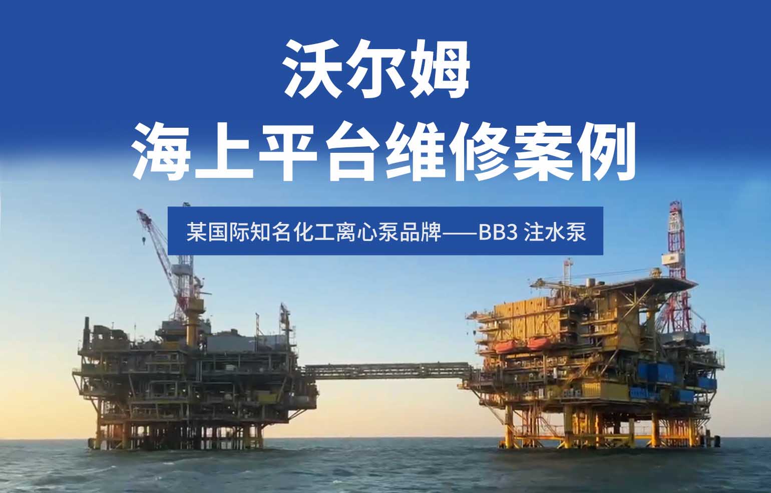 BB3 注水泵振動(dòng)超標(biāo)修復(fù)案例-沃爾姆精準(zhǔn)檢修讓近 20 年老泵性能全面煥新