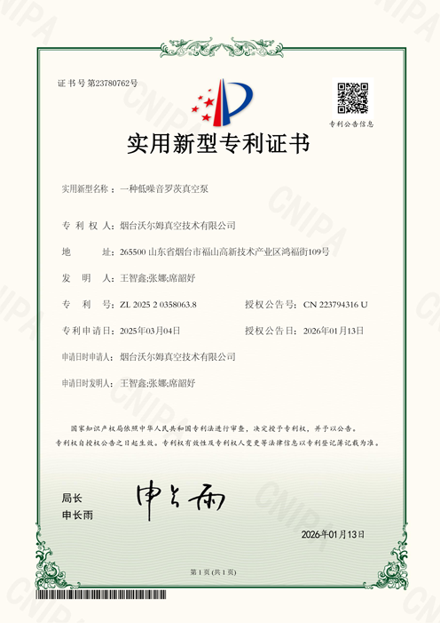 一種低噪音的羅茨真空泵